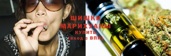 PSILOCYBIN Гусев