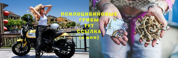 PSILOCYBIN Гусев