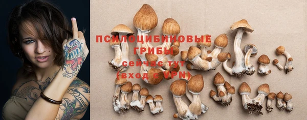 PSILOCYBIN Гусев