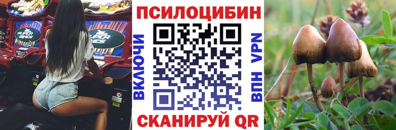 Галлюциногенные грибы Cubensis  как найти   Новопавловск 